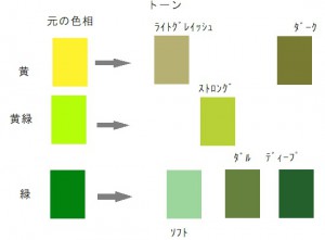 パーソナルカラー 解説 オータム 緑 Color Style1116 Professional