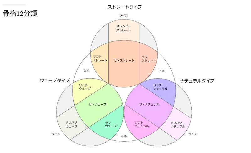 骨格診断12分類(タイプ) でストレートタイプ、ナチュラルタイプ、ウェーブタイプのミックスを分解