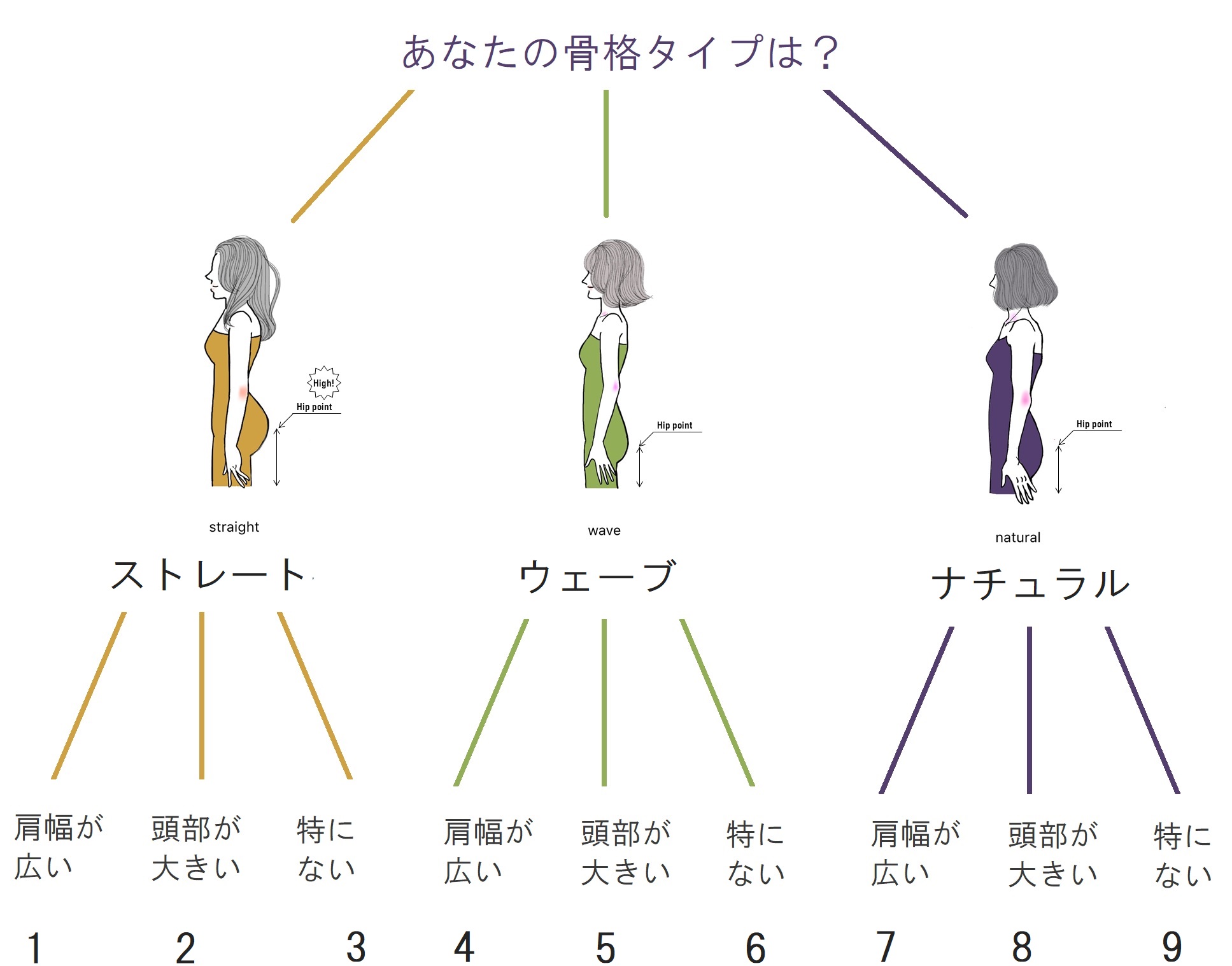 ウェーブ 骨格 ミックス ストレート 9つの分類であなたのモヤモヤを解消する骨格診断